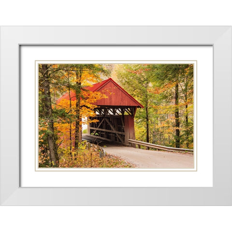USA-Vermont-Stowe-Sterling Valley Road covered bridge in fall foliage White Modern Wood Framed Art Print with Double Matting by Jones, Allison
