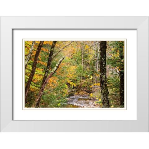 USA-Vermont-Stowe-Sterling Valley tributary to Little River in fall foliage White Modern Wood Framed Art Print with Double Matting by Jones, Allison