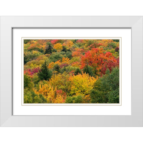 USA-Vermont-New England-Stowe Mt Mansfield parking lot view White Modern Wood Framed Art Print with Double Matting by Jones, Allison