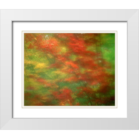 Vermont Abstract of maple trees White Modern Wood Framed Art Print with Double Matting by Zuckerman, Jim