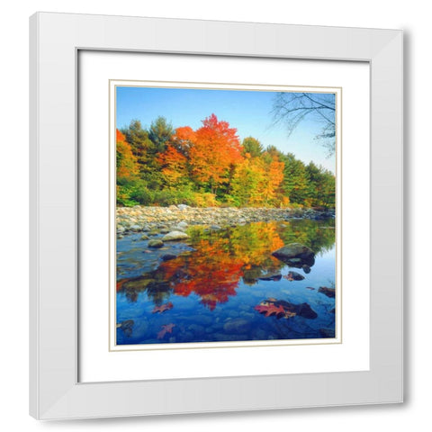 Vermont, Autumn reflecting in a stream White Modern Wood Framed Art Print with Double Matting by Talbot Frank, Christopher