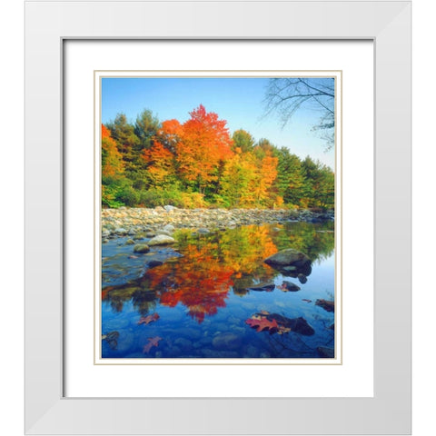 Vermont, Autumn reflecting in a stream White Modern Wood Framed Art Print with Double Matting by Talbot Frank, Christopher