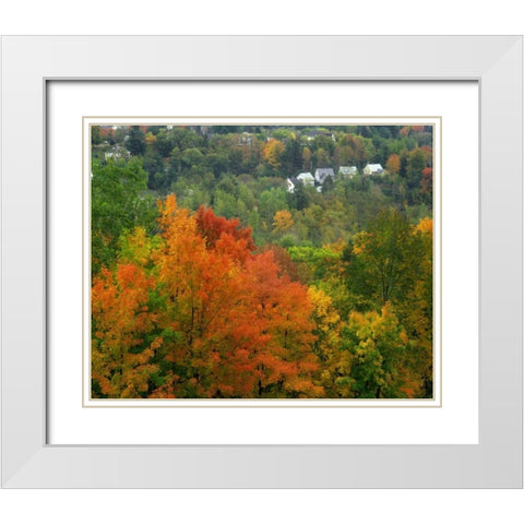 Vermont, St Johnsbury Hillside Trees and homes White Modern Wood Framed Art Print with Double Matting by Terrill, Steve