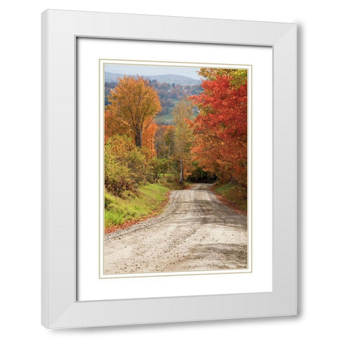 USA-New England-Vermont tree-lined roadway in Autumns Fall colors White Modern Wood Framed Art Print with Double Matting by Gulin, Sylvia