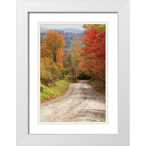 USA-New England-Vermont tree-lined roadway in Autumns Fall colors White Modern Wood Framed Art Print with Double Matting by Gulin, Sylvia