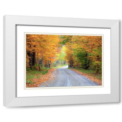 USA-New England-Vermont tree-lined roadway in Autumns Fall colors White Modern Wood Framed Art Print with Double Matting by Gulin, Sylvia