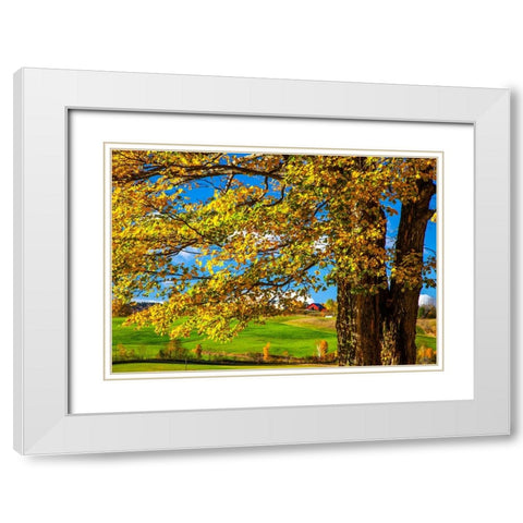 USA-New England-Vermont red barn in the countryside with Fall colors White Modern Wood Framed Art Print with Double Matting by Gulin, Sylvia