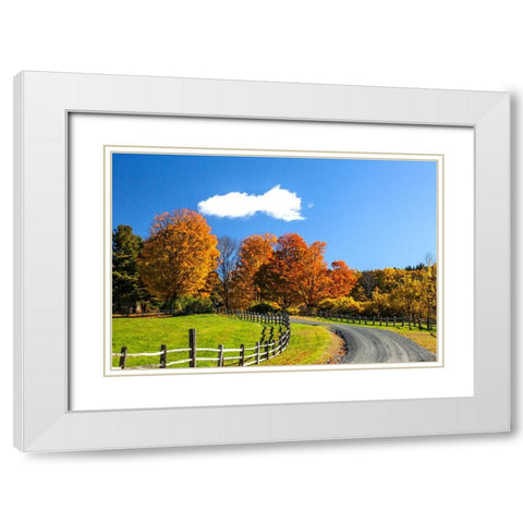 USA-New England-Vermont countryside with curved gravel road fence in Autumn White Modern Wood Framed Art Print with Double Matting by Gulin, Sylvia