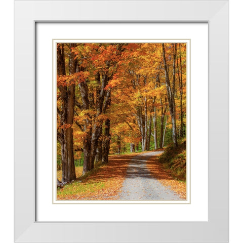 USA-New England-Vermont gravel road lined with sugar maple in full Fall color White Modern Wood Framed Art Print with Double Matting by Gulin, Sylvia