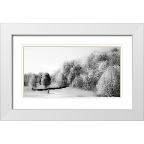 USA-New England-Vermont White Modern Wood Framed Art Print with Double Matting by Gulin, Sylvia