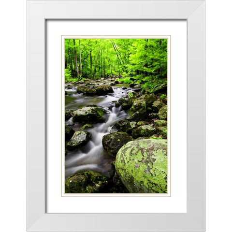 Virginia, Shenandoah NP Creek in the forest White Modern Wood Framed Art Print with Double Matting by OBrien, Jay