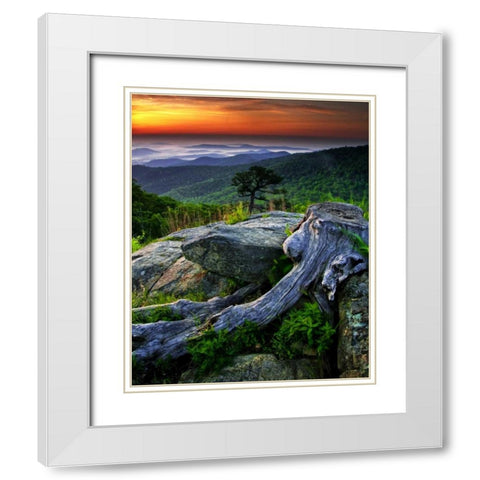 VA, Shenandoah NP Overlook from Skyline Drive White Modern Wood Framed Art Print with Double Matting by OBrien, Jay