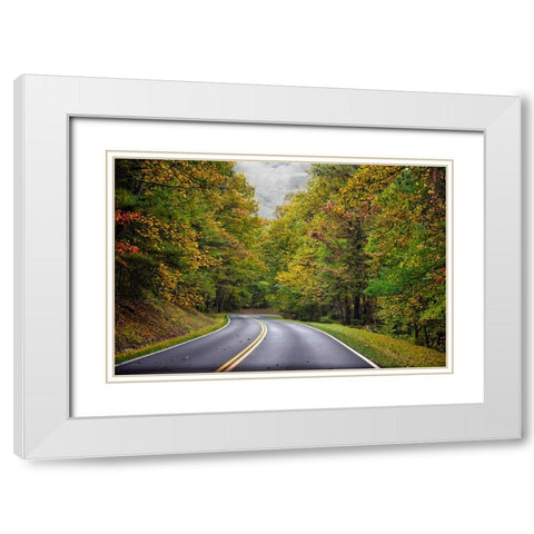 USA-Virginia-Shenandoah National Park-fall color along Skyline Drive White Modern Wood Framed Art Print with Double Matting by Looney, Hollice