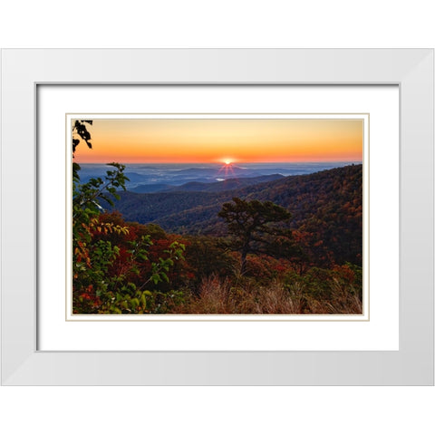 USA-Virginia-Shenandoah National Park-Sunrise along Skyline Drive in the Fall White Modern Wood Framed Art Print with Double Matting by Looney, Hollice