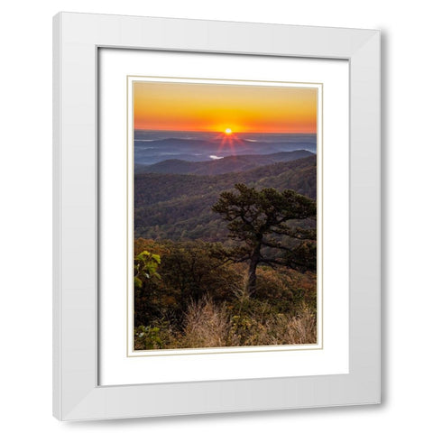 USA-Virginia-Shenandoah National Park-Sunrise along Skyline Drive in the Fall White Modern Wood Framed Art Print with Double Matting by Looney, Hollice