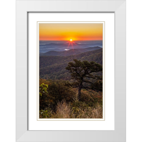 USA-Virginia-Shenandoah National Park-Sunrise along Skyline Drive in the Fall White Modern Wood Framed Art Print with Double Matting by Looney, Hollice