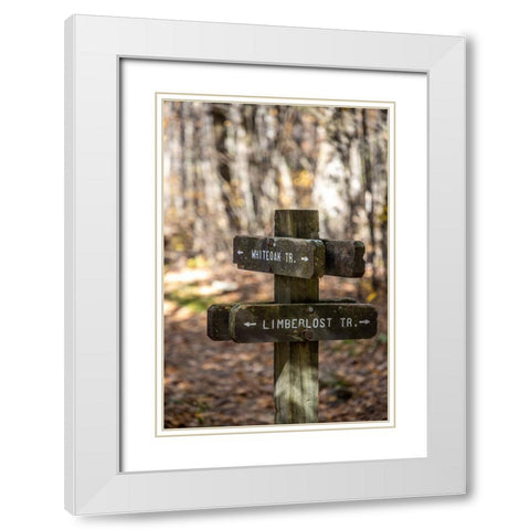 USA-Virginia-Shenandoah National Park-Wooden trail marker for the White Oak Trail and Limberlost Tr White Modern Wood Framed Art Print with Double Matting by Looney, Hollice