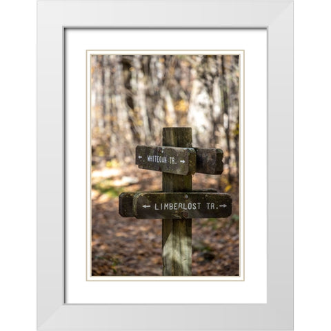 USA-Virginia-Shenandoah National Park-Wooden trail marker for the White Oak Trail and Limberlost Tr White Modern Wood Framed Art Print with Double Matting by Looney, Hollice