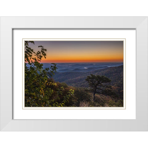 USA-Virginia-Shenandoah National Park-Sunrise along Skyline Drive in the Fall White Modern Wood Framed Art Print with Double Matting by Looney, Hollice