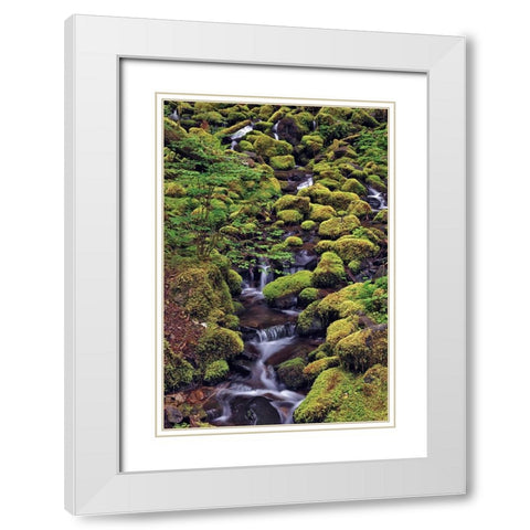 Small stream cascading through moss covered rocks-Hoh Rainforest-Olympic National Park White Modern Wood Framed Art Print with Double Matting by Jones, Adam