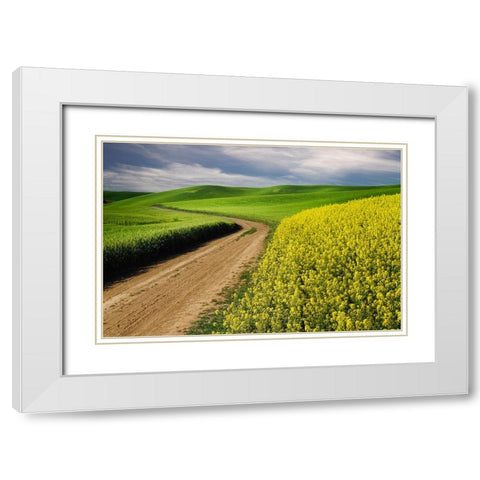 Rural farm road through yellow canola and green wheat crops White Modern Wood Framed Art Print with Double Matting by Jones, Adam