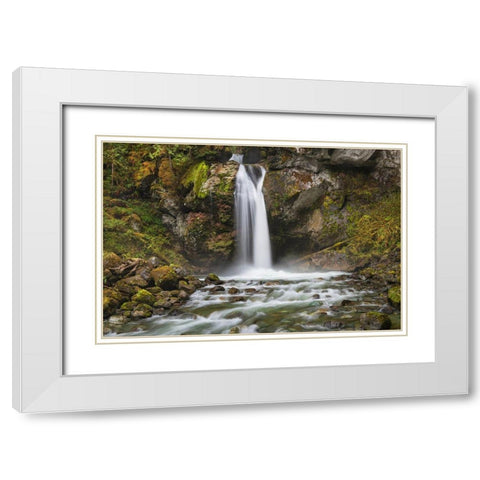 Lazy Bear Falls-Mount Baker-Snoqualmie National Forest-North Cascades-Washington State White Modern Wood Framed Art Print with Double Matting by Majchrowicz, Alan