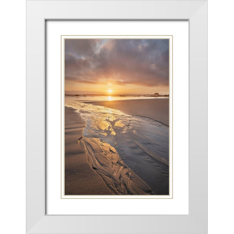 Stream flowing into the Pacific Ocean at sunset-Kalaloch Beach Olympic National Park White Modern Wood Framed Art Print with Double Matting by Majchrowicz, Alan