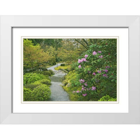 Washington, Seattle Path through a garden park White Modern Wood Framed Art Print with Double Matting by Flaherty, Dennis