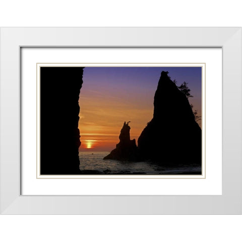WA, Olympic NP Sunset of Rialto Beach seastacks White Modern Wood Framed Art Print with Double Matting by Paulson, Don