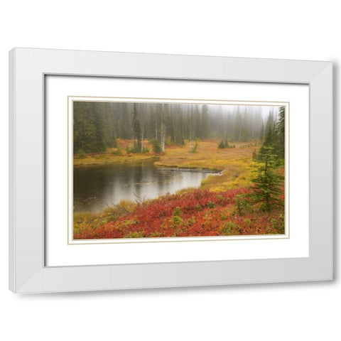 WA, Mount Rainier NP Fall-colored meadow White Modern Wood Framed Art Print with Double Matting by Paulson, Don