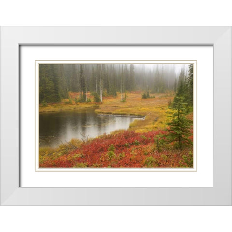 WA, Mount Rainier NP Fall-colored meadow White Modern Wood Framed Art Print with Double Matting by Paulson, Don