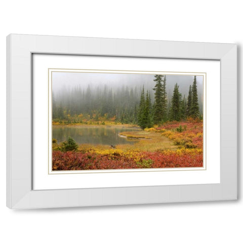 WA, Mount Rainier NP Fall-colored meadow White Modern Wood Framed Art Print with Double Matting by Paulson, Don