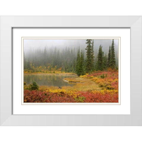 WA, Mount Rainier NP Fall-colored meadow White Modern Wood Framed Art Print with Double Matting by Paulson, Don