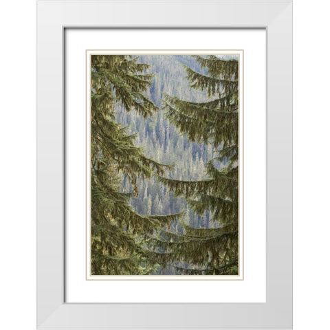 WA, Mountain hemlock trees frame a distant forest White Modern Wood Framed Art Print with Double Matting by Paulson, Don
