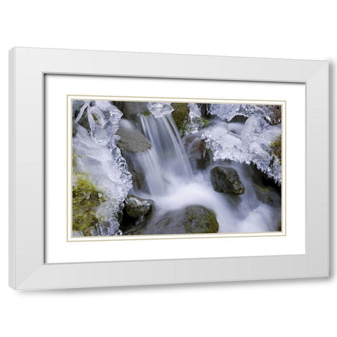 Washington, Olympic NP Icy winter waterfall White Modern Wood Framed Art Print with Double Matting by Paulson, Don
