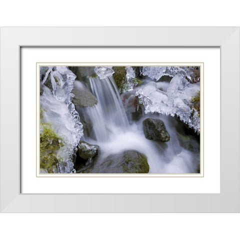 Washington, Olympic NP Icy winter waterfall White Modern Wood Framed Art Print with Double Matting by Paulson, Don