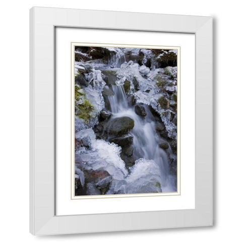 Washington, Olympic NP Icy winter waterfall White Modern Wood Framed Art Print with Double Matting by Paulson, Don
