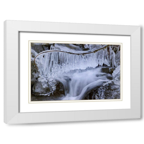 Washington, Olympic NP Icy winter waterfall White Modern Wood Framed Art Print with Double Matting by Paulson, Don