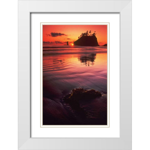 WA, Olympic NP Sunset over sea stacks White Modern Wood Framed Art Print with Double Matting by Welling, Dave