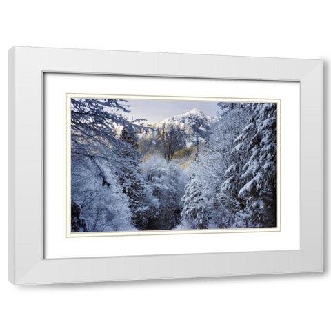 WA, Olympic NP Winter Hamma Hamma River Valley White Modern Wood Framed Art Print with Double Matting by Paulson, Don