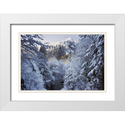 WA, Olympic NP Winter Hamma Hamma River Valley White Modern Wood Framed Art Print with Double Matting by Paulson, Don