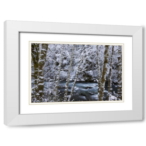 USA, WA, Olympic NP Winter Hamma Hamma River White Modern Wood Framed Art Print with Double Matting by Paulson, Don