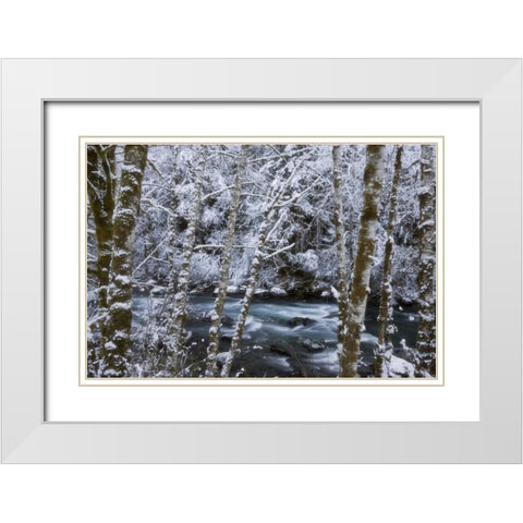 USA, WA, Olympic NP Winter Hamma Hamma River White Modern Wood Framed Art Print with Double Matting by Paulson, Don