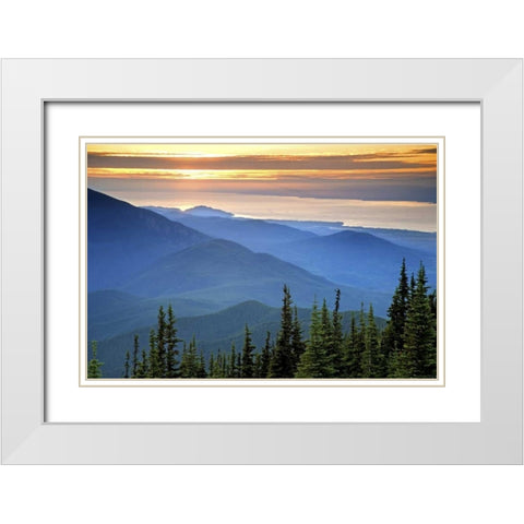 WA, Olympic NP Sunset view from Deer Park White Modern Wood Framed Art Print with Double Matting by Paulson, Don
