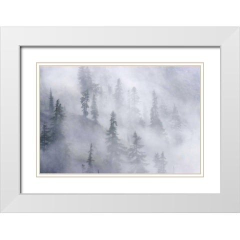 WA, Mount Baker Dense fog blankets mountainside White Modern Wood Framed Art Print with Double Matting by Paulson, Don