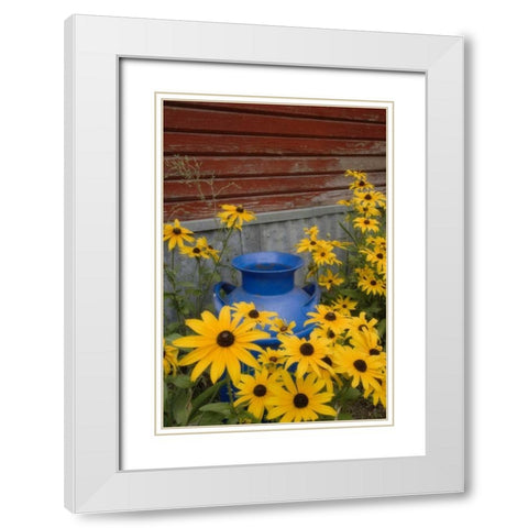 WA, Blue milk can sits amid garden flowers White Modern Wood Framed Art Print with Double Matting by Paulson, Don