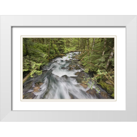 WA, North Cascades Water rushes in Cascade River White Modern Wood Framed Art Print with Double Matting by Paulson, Don