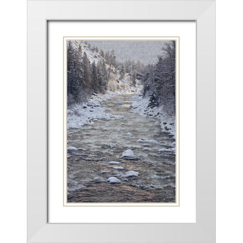 WA, Leavenworth Tees line Wenatchee River White Modern Wood Framed Art Print with Double Matting by Paulson, Don