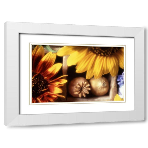 USA, Washington, Bellingham White Modern Wood Framed Art Print with Double Matting by Satushek, Steve
