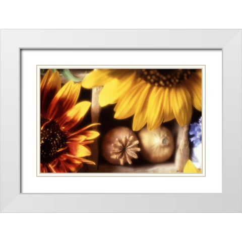 USA, Washington, Bellingham White Modern Wood Framed Art Print with Double Matting by Satushek, Steve
